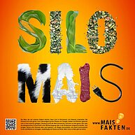 Feldrandschild 2016 | Silomais